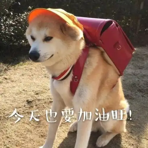  你的大招很强,但现在是我的了新英雄塞拉斯登陆测试服