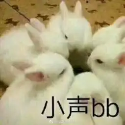 囧哥战韩国朱婷15连发打150手机新浪网  囧哥战韩国朱婷15连发打150手机新浪网