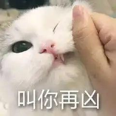  他曾经是个球迷,直到有一天失去了梦想