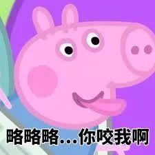  加拿大版信小呆大叔当年花1.5买的这块荒地,现在价值70亿