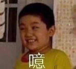 e句话看天下新年的第一天,我磕了满满一碗鹅粮