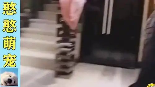 沙雕的日常,表情这一块拿捏的死死的,业务很熟练 沙雕的日常,表情这一块拿捏的死死的,业务很熟练