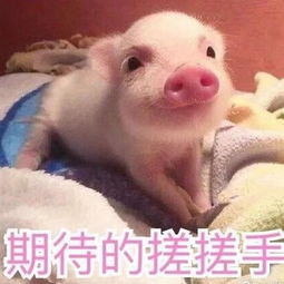  今日份40张撩妹撩汉表情包我看你嘴挺甜的,给我尝一下好不好