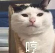  穿着3w块chanel的白富美,竟然在这几家破店里吃的嗨