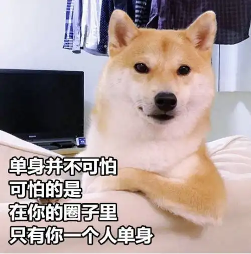狗头表情包原型秋田犬