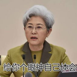  为外交女神傅莹点赞还活捉一枚行走的表情包