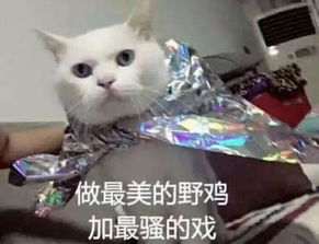  你永远不会知道平时一本正经上班的姐妹,私底下是怎么议论一个鲜肉的