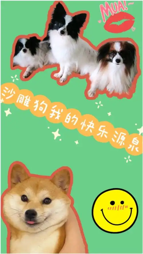  沙雕狗子我的快乐源泉,恶龙咆哮能吓哭孩子,不敢动不敢动