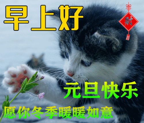 2022年1月1日元旦早上好问候祝福动态表情图片大全2022最新早安问候语动态图片表情  2022年1月1日元旦早上好问候祝福动态表情图片大全2022最新早安问候语动态图片表情