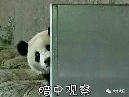  微信表情上新了吃瓜打脸你开始用了吗