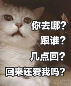 我回来了表情包可爱给你