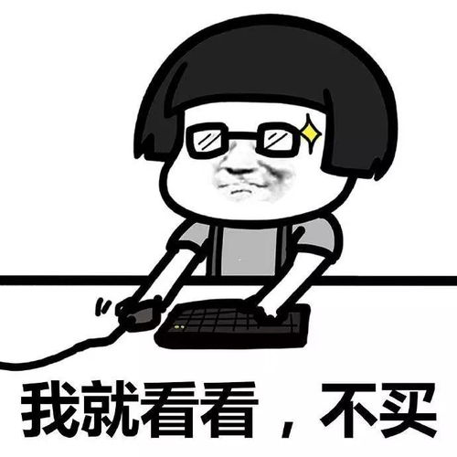  打死我都不养猫