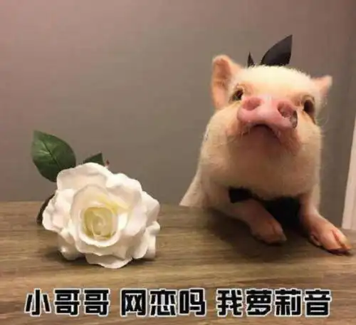 手机又出逆天功能,以后的小萝莉还敢相信吗网友我萝莉音 手机又出逆天功能,以后的小萝莉还敢相信吗网友我萝莉音