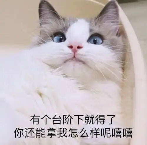  沙雕表情包l为师送你