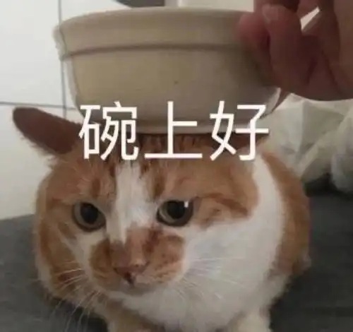  表情包愿世界不再有一分钱红包