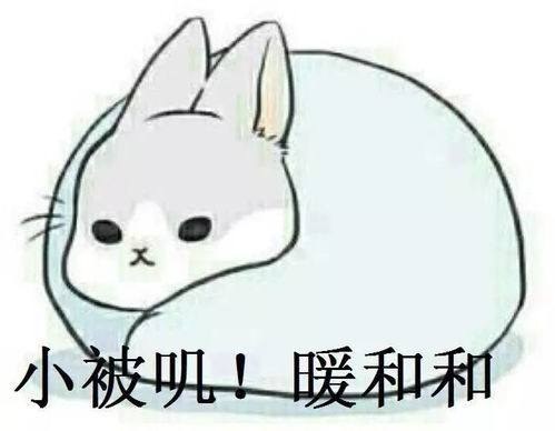  急救包之送你一件军大衣