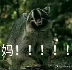  动物撕心裂肺叫妈的表情包你妈不理你的微信表情包