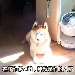  你说情话的功力还不如一只狗厉害呢