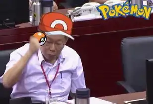 台北市长被大陆网民玩坏了 台北市长被大陆网民玩坏了