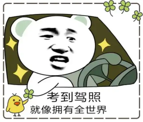 驾考新规不可怕,选错驾校麻烦大 驾考新规不可怕,选错驾校麻烦大