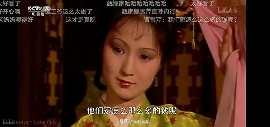  阿里嘎多小姐的相册红楼梦画