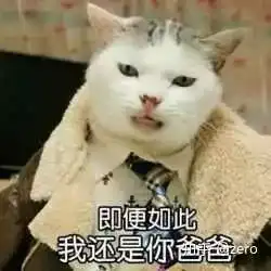  还记得你家猫洗澡时绝望的眼神吗看看别人家的,玩的是冲浪啊