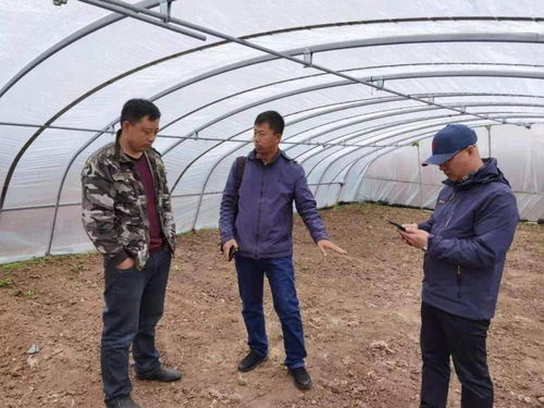  百份成绩开新局学史力行庆华诞市农业科学院100期科技助农网络课堂圆满结课