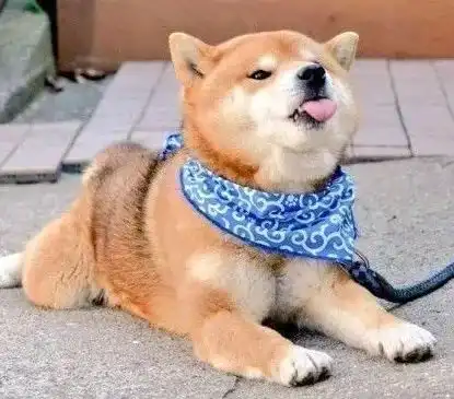  最适合秋天的美甲颜色是...