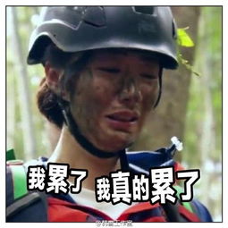  韩雪魔性表情包来袭呆萌耍宝轻松驾驭