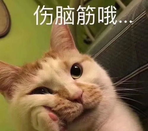  只需一招小屏换大屏,追剧再不费眼睛银发智慧学堂
