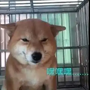  可爱表情包一想你的时候,你想我吗