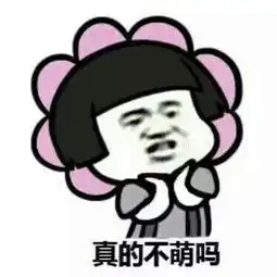  求情侣聊天用的表情包