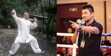  有些武术大师上台打擂,一两招过后用的就全是王八拳,武功呢