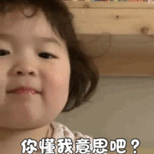  抖音表情包你懂我的意思吧