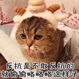  注意这46所大学部分专业暂时不能招收研究生啦