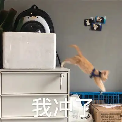 2021聊天少不了的沙雕表情包失去梦想变成小面包 2021聊天少不了的沙雕表情包失去梦想变成小面包