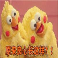  脆皮鸡鹦鹉兄弟表情包微信头像图片大全