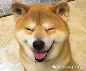  这六瓜是宝物,消暑气降三高抗衰老,今夏一定要吃齐