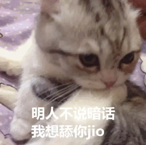  超奈斯小奶猫表情包今夜我就是你的圣诞礼物,喜欢吗