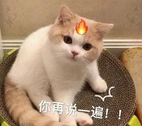  表情包想尝尝我的拳头吗