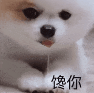 第47期汪表情大无语吸猫会出现狗传狗现象 第47期汪表情大无语吸猫会出现狗传狗现象