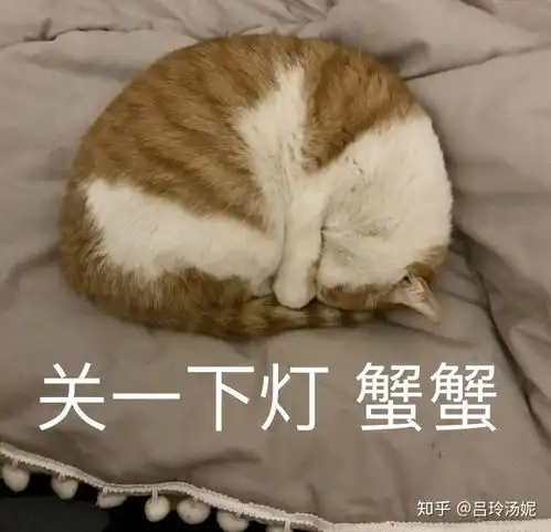  有没有沙雕橘猫的头像或表情包