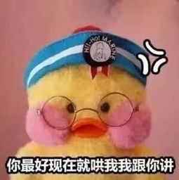  对方拒绝和你说话,向你扔出了成吨的表情包