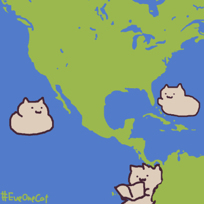  魔性小猫咪动图表情包