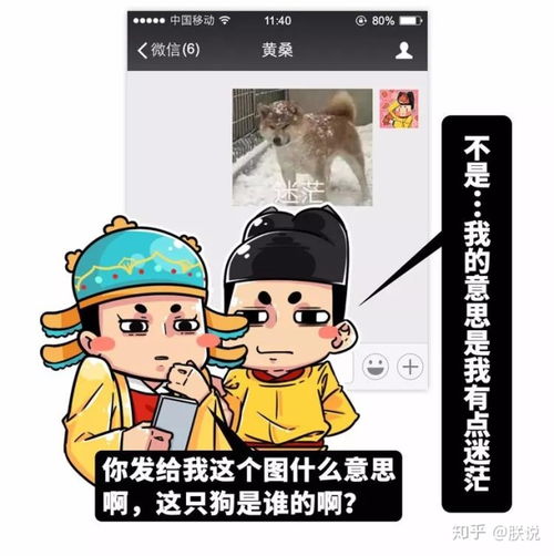 表情深度剖析中老年人表情包如何使用表情包和中老年人谈笑风生知乎表情