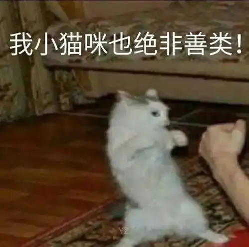  沙雕表情包我小猫咪也绝非善类
