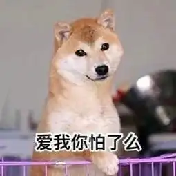 dio表情包high略略略