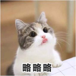  有一种整容叫毛毛摘下眼镜,其实你也可以一样美不胜收