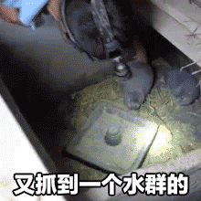 汤姆猫杰利鼠动态表情