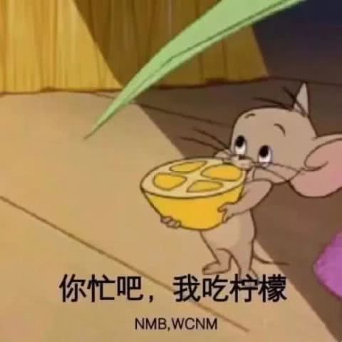  表情猫和老鼠表情包你忙吧,我吃柠檬班主任整个幼儿园就你俩...表情